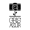 logo Gris Azur
